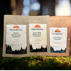 Mushroom Brain Power Bundle