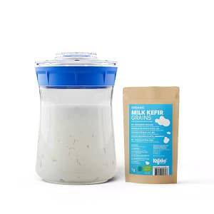 Milk Kefir Starter Kit