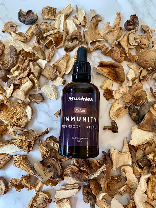 Reishi t 1 Reishi Extract Tincture - Immunity