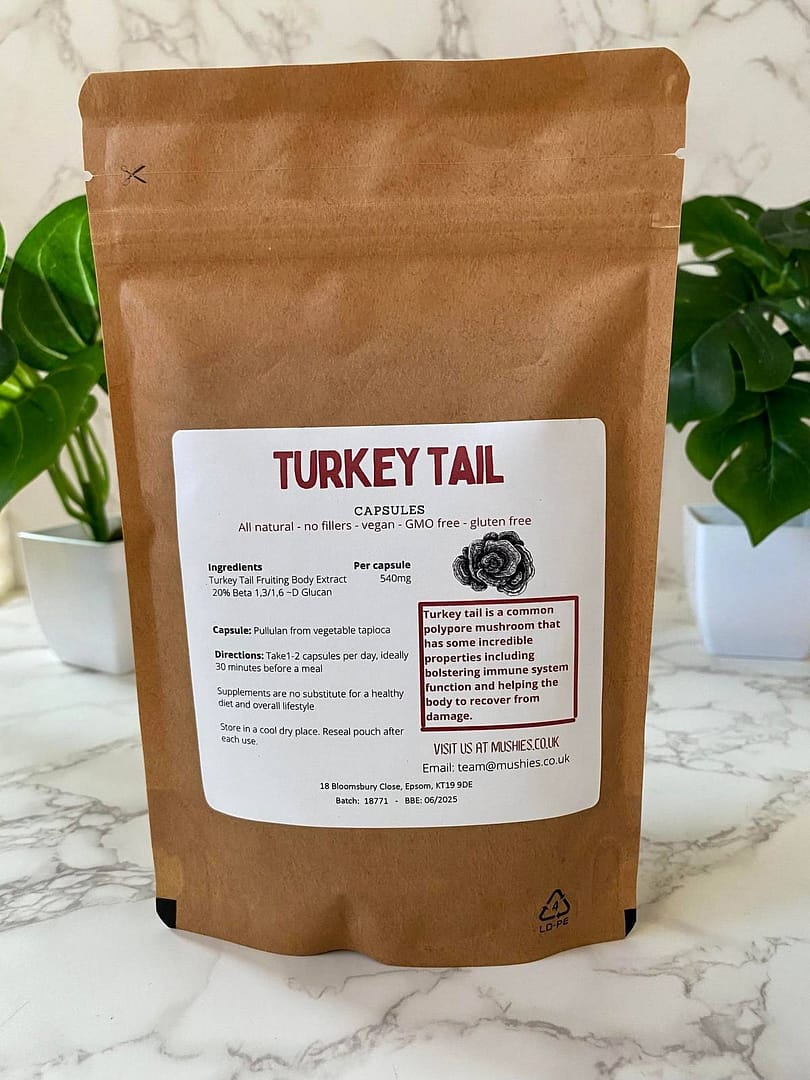 Turkey Tail Capsules (High Strength) - Image 2